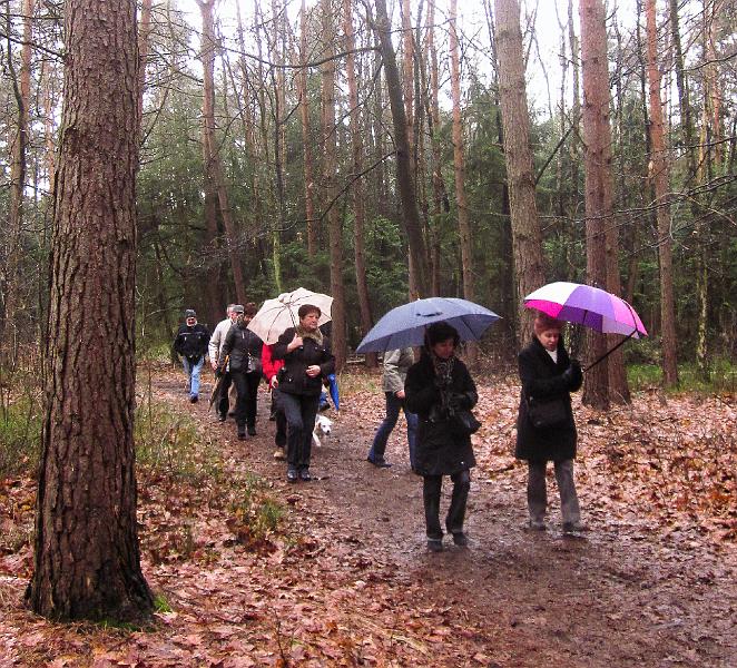 Winterwandeling-Kiewit (18).jpg